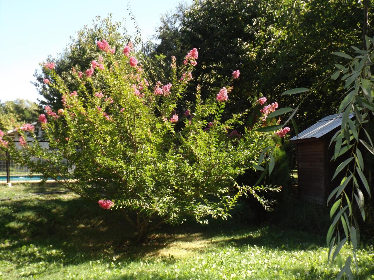 Cabanas Aguas Claras Pinto Exterior photo